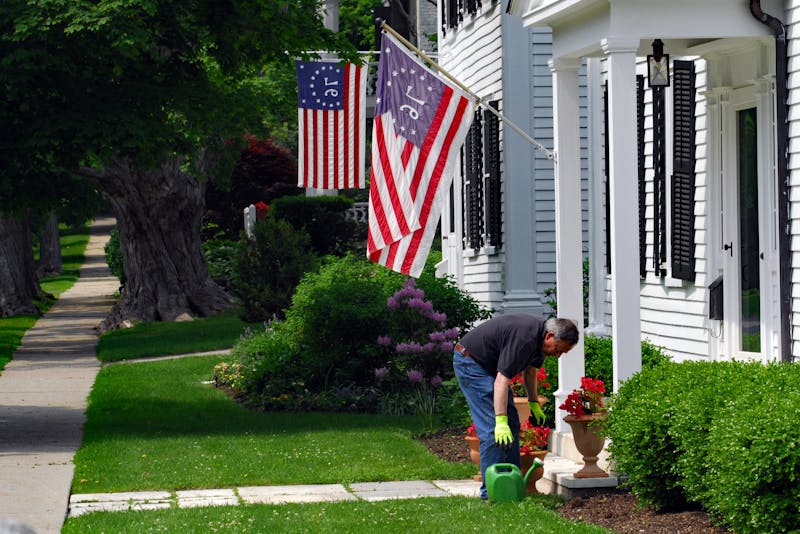 watering the plants