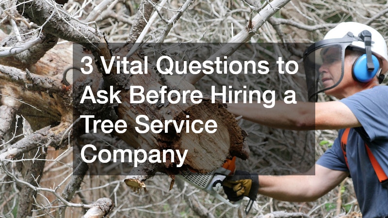3 Vital Questions to Ask Before Hiring a Tree Service Company